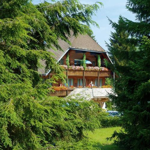 Hotel Garni Seebachstueble Titisee-Neustadt Ngoại thất bức ảnh